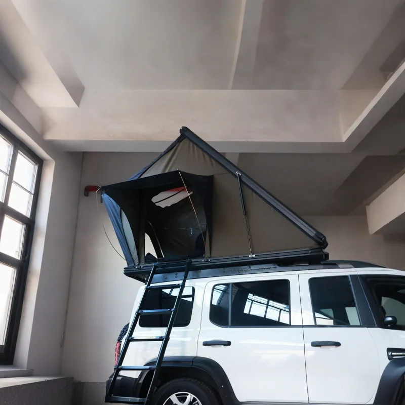 인기 급상승 중인 싱글 레이어 방수 루프탑 텐트, 휴대 - Outdoor Camping Tent Waterproof 리뷰 및 가격